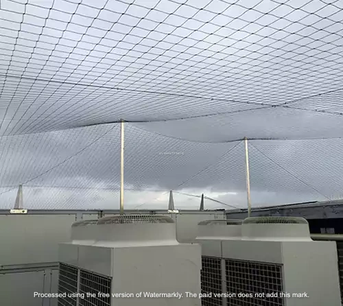 Anti Seagull Nets