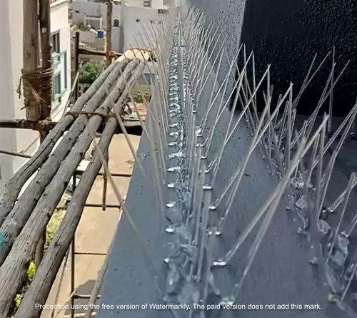 Bird & Pigeon Control Spikes